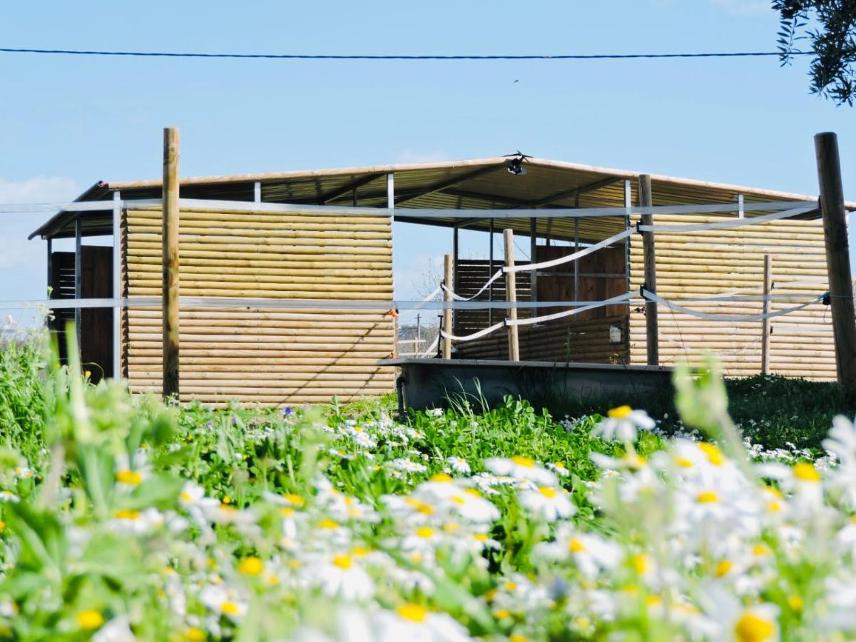 Гостьовий будинок Nogueira Country House Фундан Екстер'єр фото
